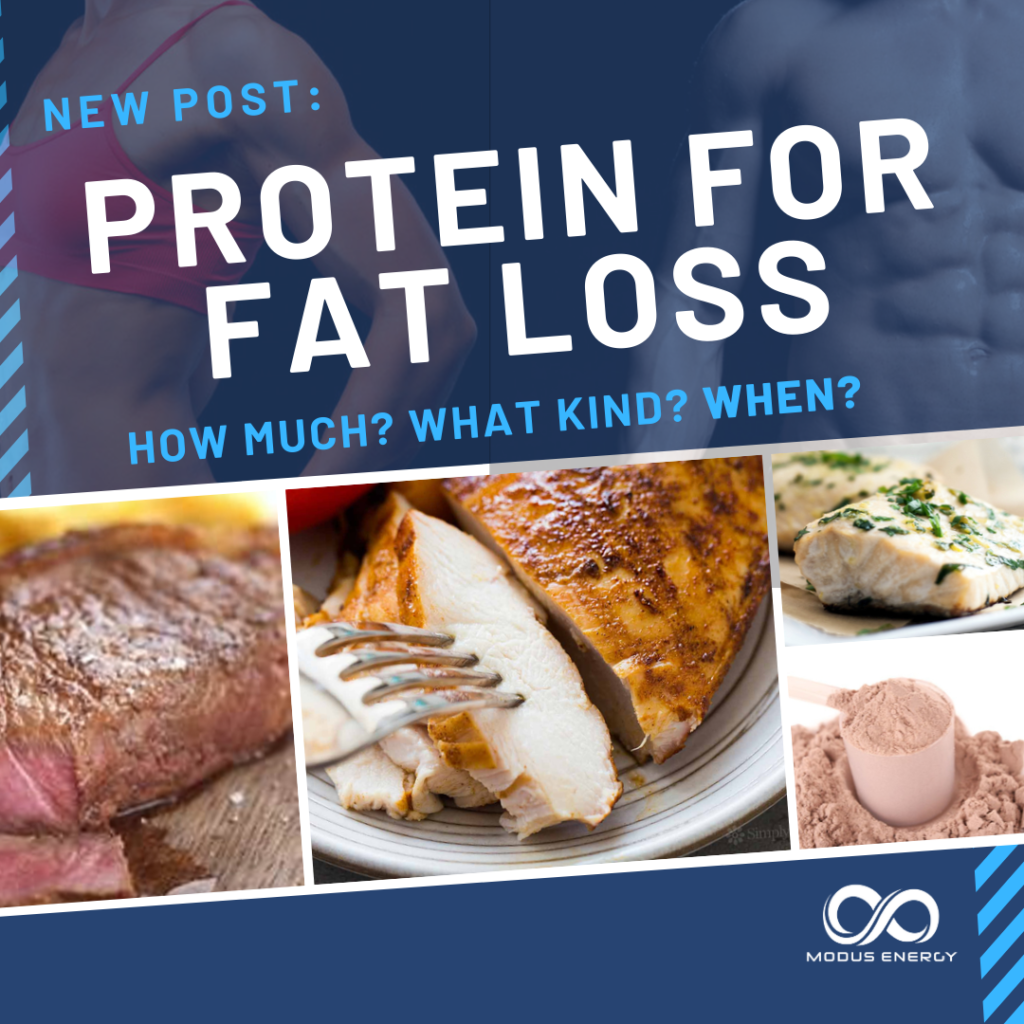 protein in fat loss journey