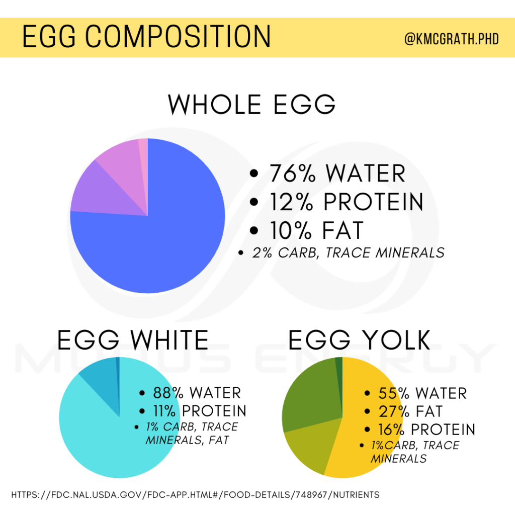 Egg And Egg White Nutrition Modus Energy Nutrition Coaching